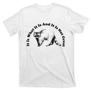 It Is What It Is And It Is Not Great Funny Raccoon T-Shirt