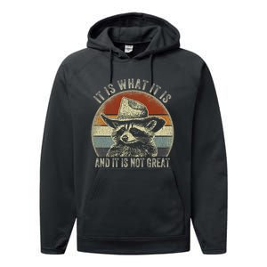 It Is What It Is And It Is Not Great Raccoon Trash Panda Performance Fleece Hoodie