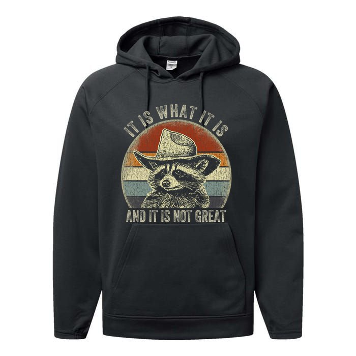 It Is What It Is And It Is Not Great Raccoon Trash Panda Performance Fleece Hoodie