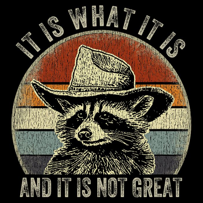 It Is What It Is And It Is Not Great Raccoon Trash Panda Cooling Performance Crew T-Shirt