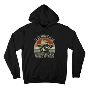 It Is What It Is And It Is Not Great Raccoon Trash Panda Hoodie