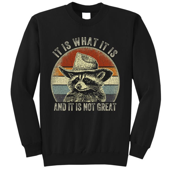 It Is What It Is And It Is Not Great Raccoon Trash Panda Sweatshirt