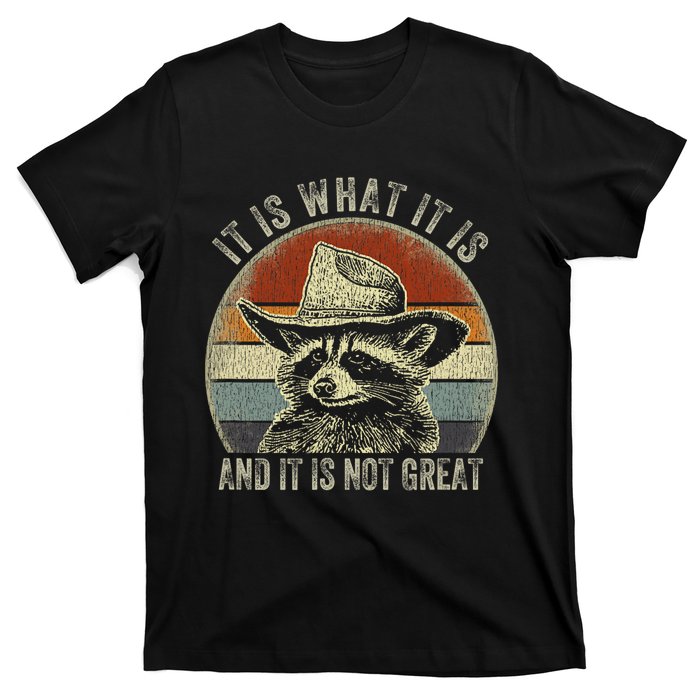 It Is What It Is And It Is Not Great Raccoon Trash Panda T-Shirt