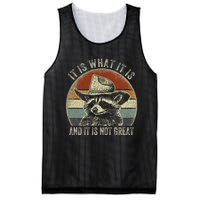 It Is What It Is And It Is Not Great Raccoon Trash Panda Mesh Reversible Basketball Jersey Tank