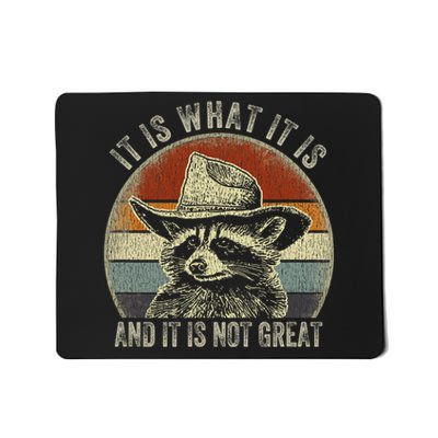 It Is What It Is And It Is Not Great Raccoon Trash Panda Mousepad