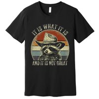 It Is What It Is And It Is Not Great Raccoon Trash Panda Premium T-Shirt