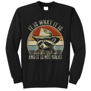 It Is What It Is And It Is Not Great Raccoon Trash Panda Tall Sweatshirt