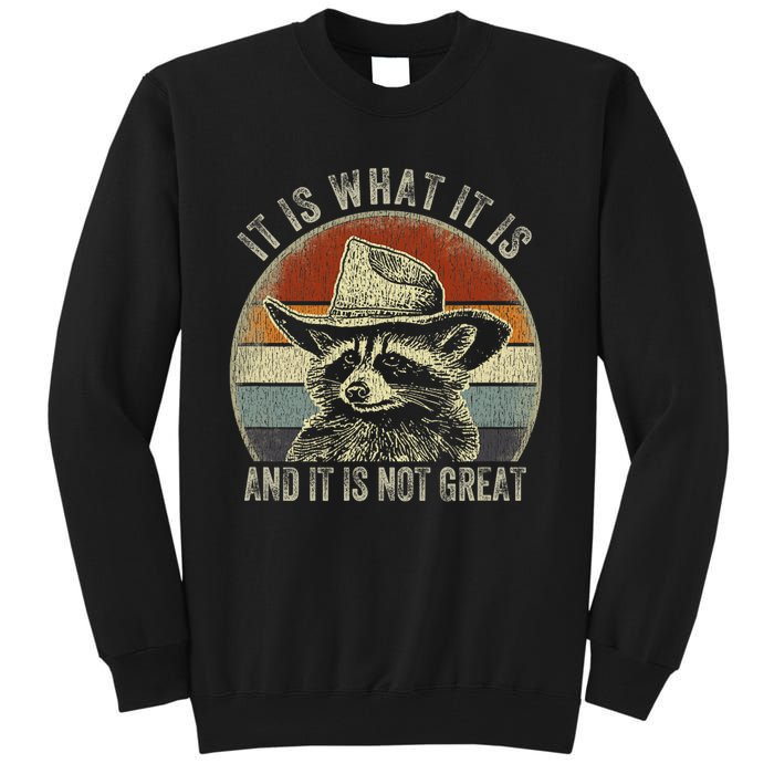 It Is What It Is And It Is Not Great Raccoon Trash Panda Tall Sweatshirt