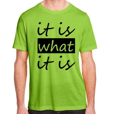 It Is What It Is Adult ChromaSoft Performance T-Shirt