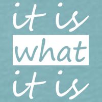 It Is What It Is Sueded Cloud Jersey T-Shirt