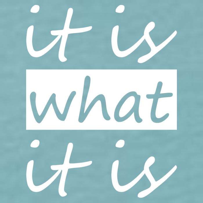 It Is What It Is Sueded Cloud Jersey T-Shirt