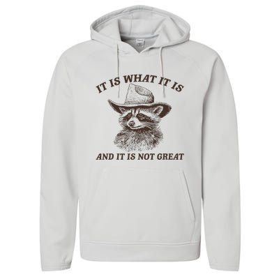 It Is What It Is And It Is Not Great Funny Raccoon Sarcastic Performance Fleece Hoodie