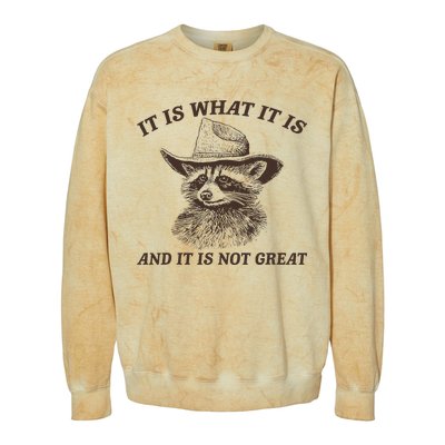 It Is What It Is And It Is Not Great Funny Raccoon Sarcastic Colorblast Crewneck Sweatshirt