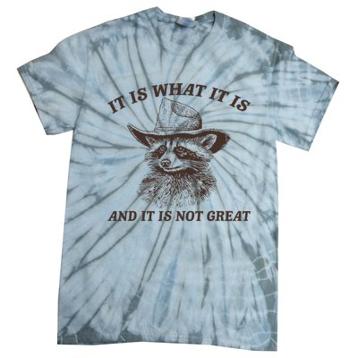 It Is What It Is And It Is Not Great Funny Raccoon Sarcastic Tie-Dye T-Shirt