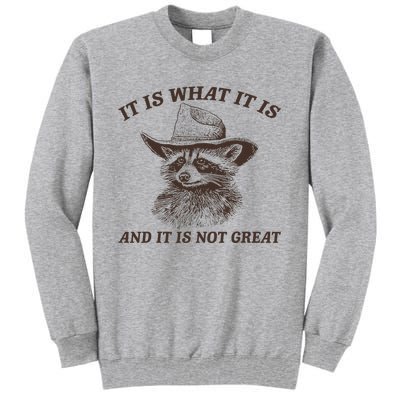 It Is What It Is And It Is Not Great Funny Raccoon Sarcastic Tall Sweatshirt