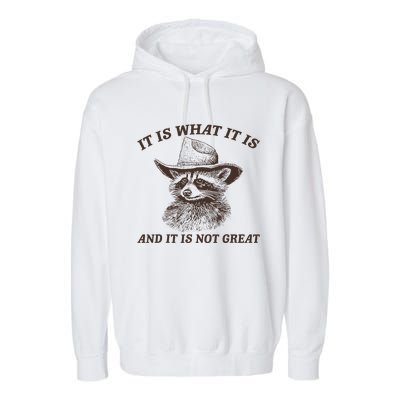 It Is What It Is And It Is Not Great Funny Raccoon Sarcastic Garment-Dyed Fleece Hoodie