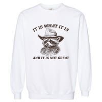 It Is What It Is And It Is Not Great Funny Raccoon Sarcastic Garment-Dyed Sweatshirt