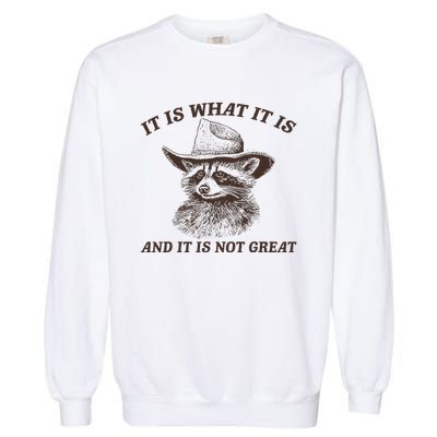 It Is What It Is And It Is Not Great Funny Raccoon Sarcastic Garment-Dyed Sweatshirt