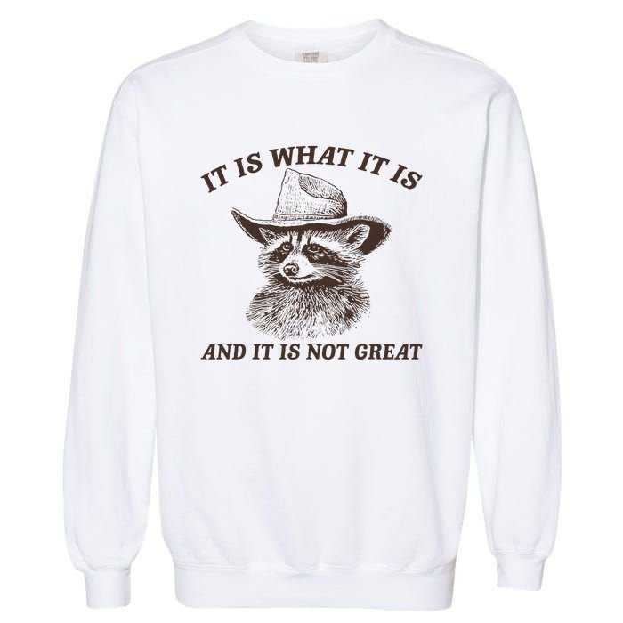 It Is What It Is And It Is Not Great Funny Raccoon Sarcastic Garment-Dyed Sweatshirt