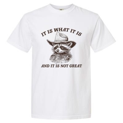 It Is What It Is And It Is Not Great Funny Raccoon Sarcastic Garment-Dyed Heavyweight T-Shirt