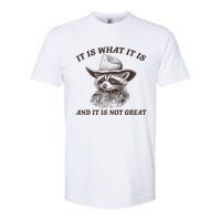 It Is What It Is And It Is Not Great Funny Raccoon Sarcastic Softstyle CVC T-Shirt