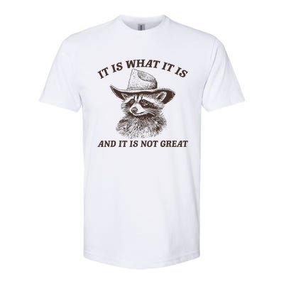 It Is What It Is And It Is Not Great Funny Raccoon Sarcastic Softstyle CVC T-Shirt