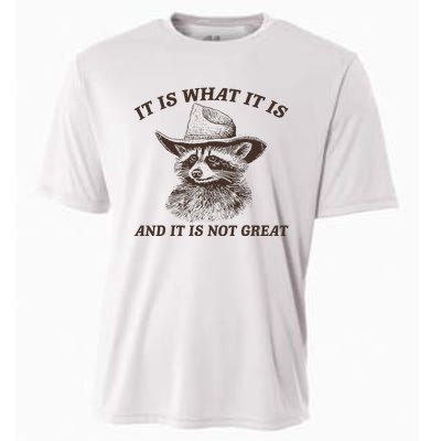 It Is What It Is And It Is Not Great Funny Raccoon Sarcastic Cooling Performance Crew T-Shirt