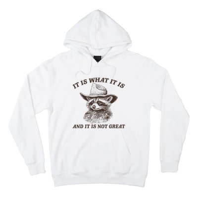 It Is What It Is And It Is Not Great Funny Raccoon Sarcastic Hoodie