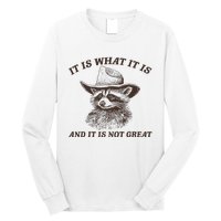 It Is What It Is And It Is Not Great Funny Raccoon Sarcastic Long Sleeve Shirt