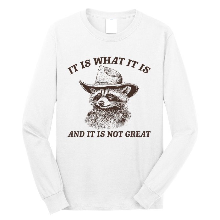 It Is What It Is And It Is Not Great Funny Raccoon Sarcastic Long Sleeve Shirt