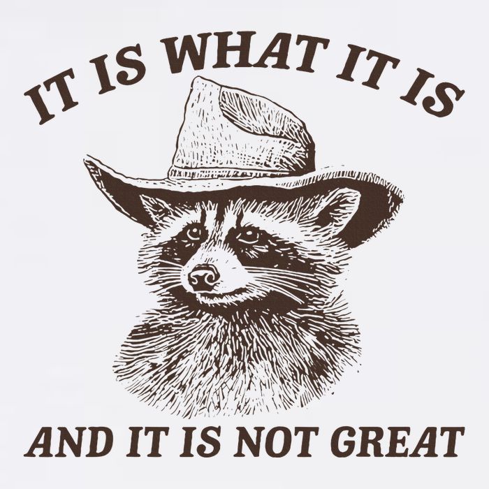 It Is What It Is And It Is Not Great Funny Raccoon Sarcastic Full-Length Apron With Pockets