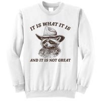 It Is What It Is And It Is Not Great Funny Raccoon Sarcastic Sweatshirt