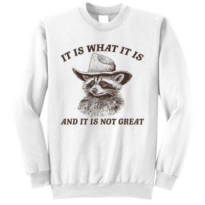 It Is What It Is And It Is Not Great Funny Raccoon Sarcastic Sweatshirt