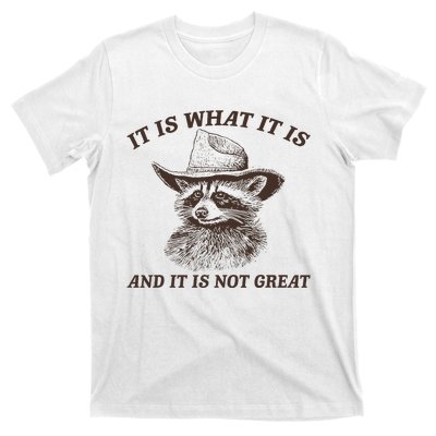 It Is What It Is And It Is Not Great Funny Raccoon Sarcastic T-Shirt