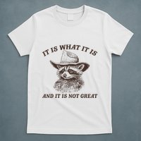 It Is What It Is And It Is Not Great Funny Raccoon Sarcastic T-Shirt