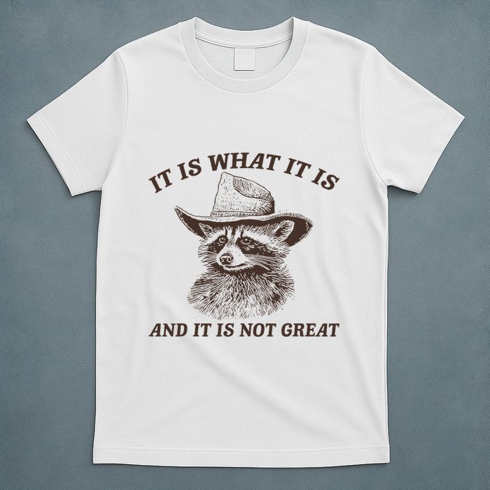 It Is What It Is And It Is Not Great Funny Raccoon Sarcastic T-Shirt