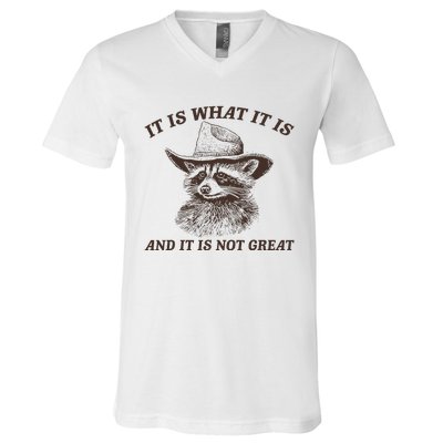 It Is What It Is And It Is Not Great Funny Raccoon Sarcastic V-Neck T-Shirt