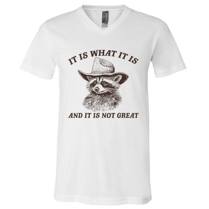 It Is What It Is And It Is Not Great Funny Raccoon Sarcastic V-Neck T-Shirt