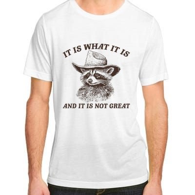 It Is What It Is And It Is Not Great Funny Raccoon Sarcastic Adult ChromaSoft Performance T-Shirt