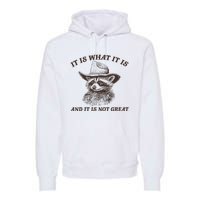 It Is What It Is And It Is Not Great Funny Raccoon Sarcastic Premium Hoodie