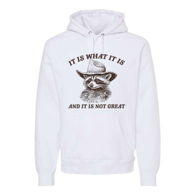 It Is What It Is And It Is Not Great Funny Raccoon Sarcastic Premium Hoodie