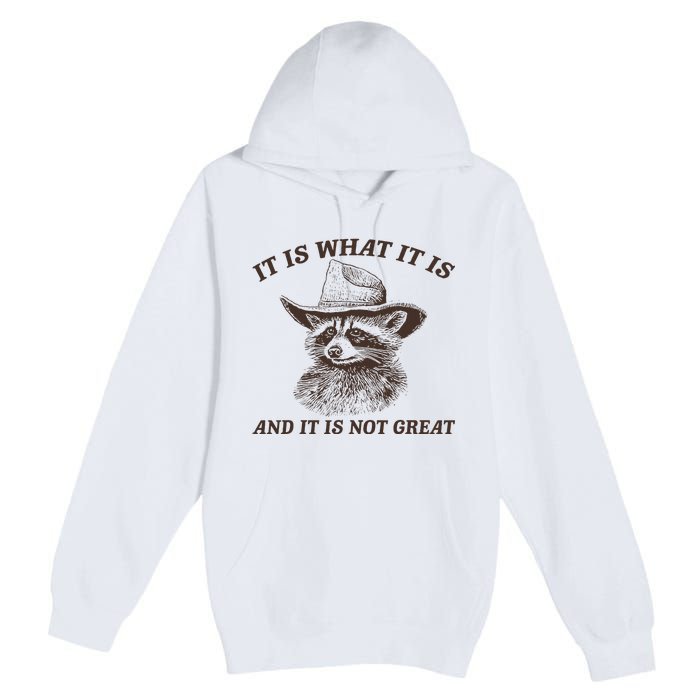 It Is What It Is And It Is Not Great Funny Raccoon Sarcastic Premium Pullover Hoodie