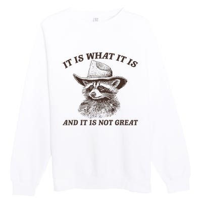 It Is What It Is And It Is Not Great Funny Raccoon Sarcastic Premium Crewneck Sweatshirt