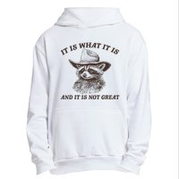 It Is What It Is And It Is Not Great Funny Raccoon Sarcastic Urban Pullover Hoodie