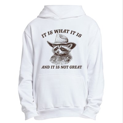 It Is What It Is And It Is Not Great Funny Raccoon Sarcastic Urban Pullover Hoodie