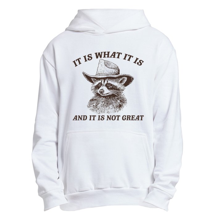 It Is What It Is And It Is Not Great Funny Raccoon Sarcastic Urban Pullover Hoodie