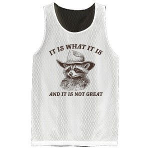 It Is What It Is And It Is Not Great Funny Raccoon Sarcastic Mesh Reversible Basketball Jersey Tank