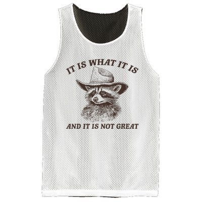 It Is What It Is And It Is Not Great Funny Raccoon Sarcastic Mesh Reversible Basketball Jersey Tank