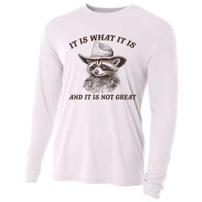 It Is What It Is And It Is Not Great Funny Raccoon Sarcastic Cooling Performance Long Sleeve Crew