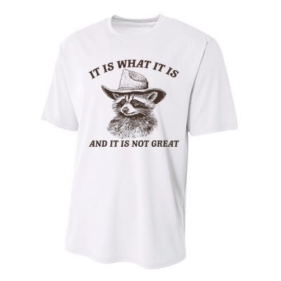 It Is What It Is And It Is Not Great Funny Raccoon Sarcastic Performance Sprint T-Shirt